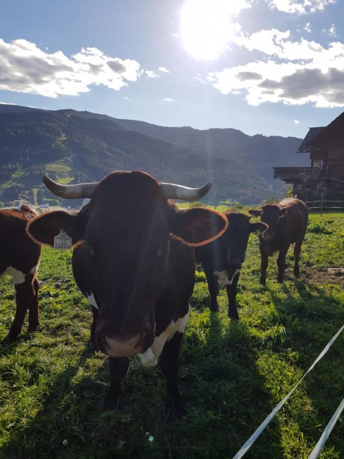 Hüttenferien Köberlhof Sankt Georgen ob Murau Eksteriør bilde